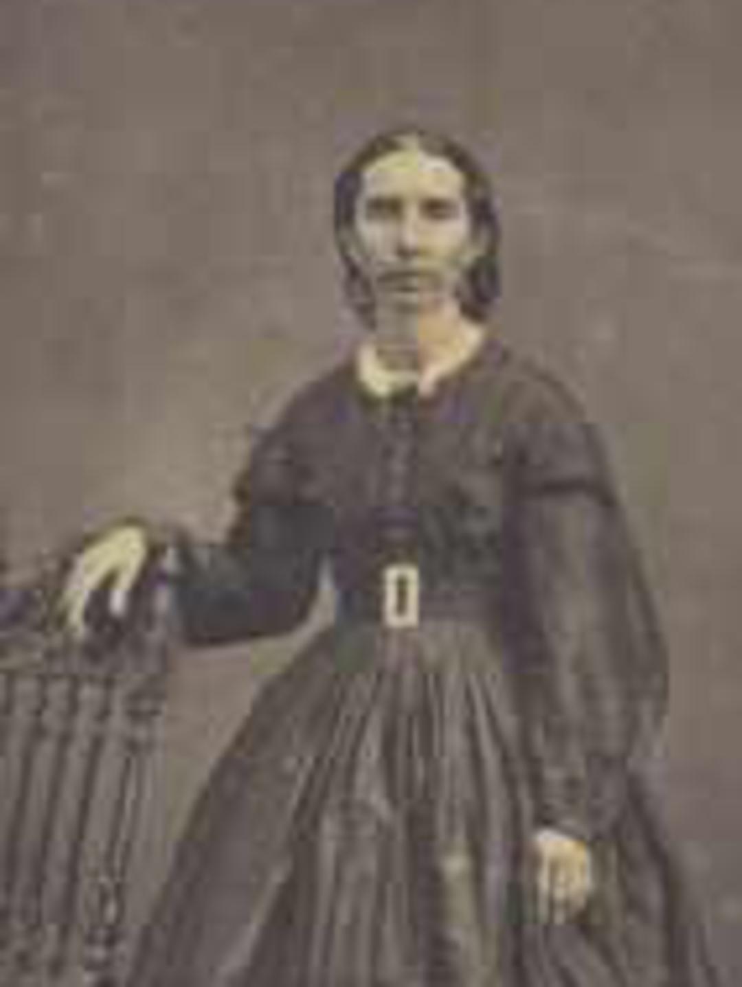 Adelia Clark (1826 - 1906) Profile